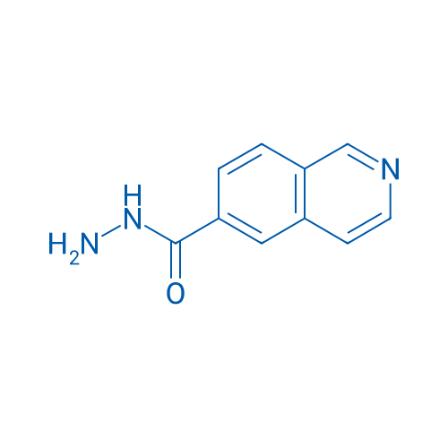 Isoquinoline-6-carbohydrazide 1g