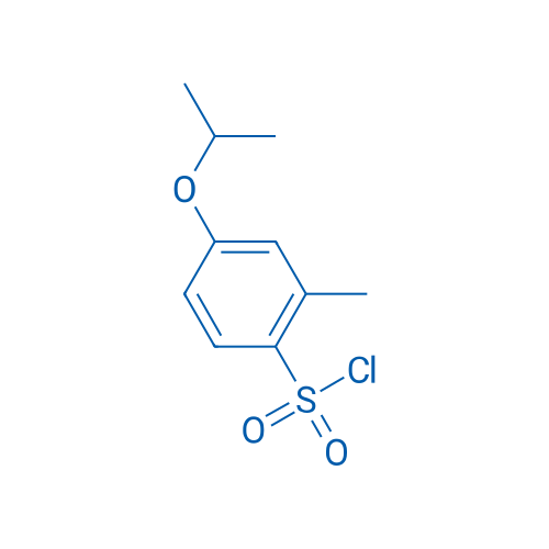 4-Isopropoxy-2-methylbenzenesulfonyl chloride 10g