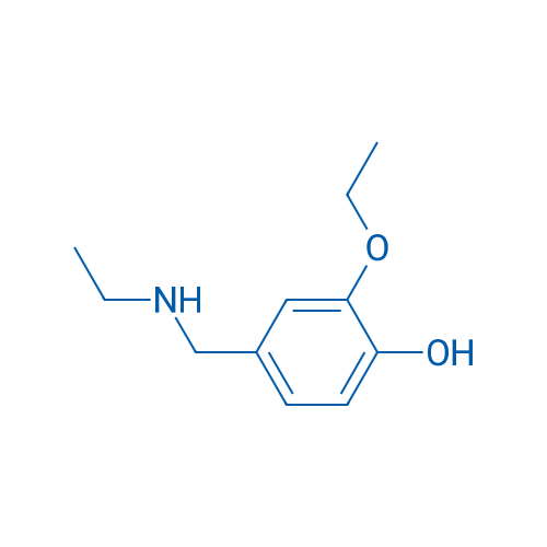 2-Ethoxy-4-[(ethylamino)methyl]phenol 1g