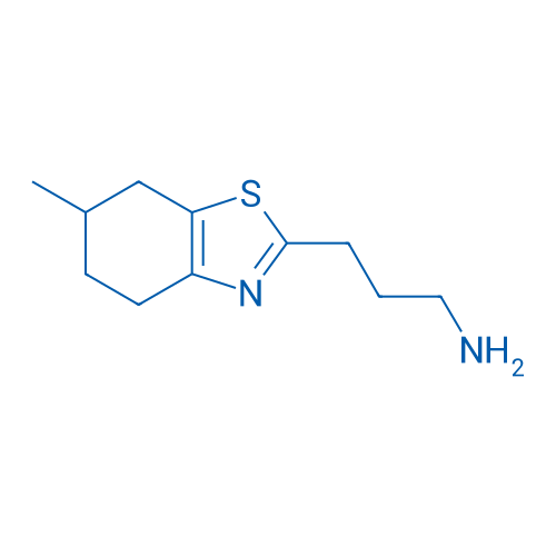 3-(6-Methyl-4,5,6,7-tetrahydro-1,3-benzothiazol-2-yl)propan-1-amine 1g