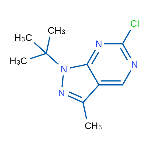1-(tert-Butyl)-6-chloro-3-methyl-1H-pyrazolo[3,4-d]pyrimidine 1g