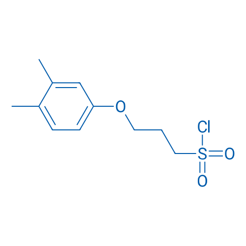3-(3,4-Dimethylphenoxy)propane-1-sulfonyl chloride 1g