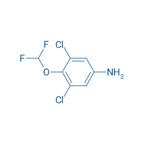 3,5-Dichloro-4-(difluoromethoxy)aniline 50mg