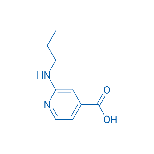 2-(Propylamino)isonicotinic acid 1g