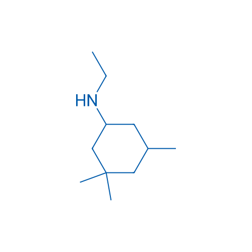 N-Ethyl-3,3,5-trimethylcyclohexan-1-amine 1g
