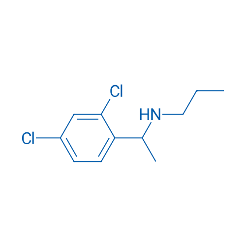 [1-(2,4-Dichlorophenyl)ethyl](propyl)amine 1g