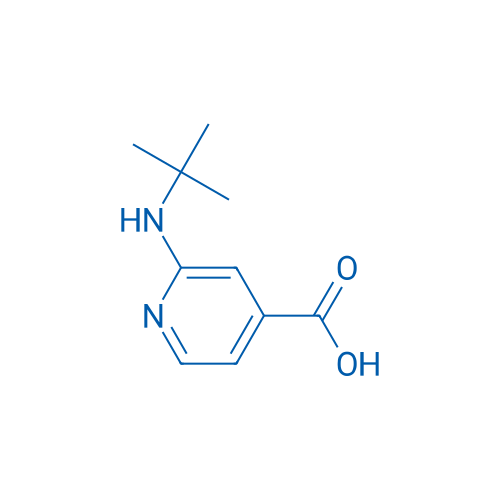 2-(tert-Butylamino)isonicotinic acid 5g