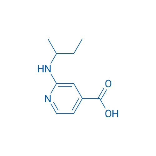 2-(sec-Butylamino)isonicotinic acid 5g