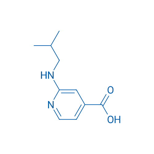 2-(Isobutylamino)isonicotinic acid 5g