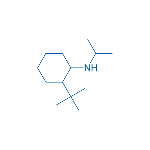 2-tert-Butyl-N-(propan-2-yl)cyclohexan-1-amine 100mg