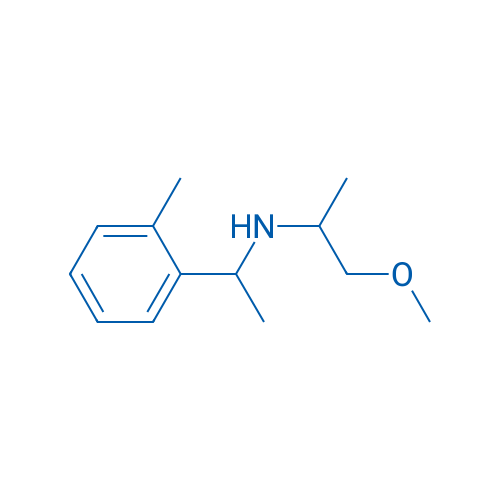 (1-Methoxypropan-2-yl)[1-(2-methylphenyl)ethyl]amine 1g