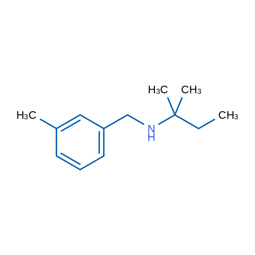 (2-Methylbutan-2-yl)[(3-methylphenyl)methyl]amine 5g