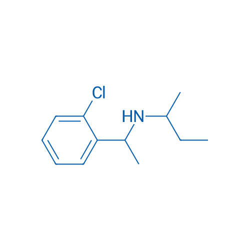 (Butan-2-yl)[1-(2-chlorophenyl)ethyl]amine 1g