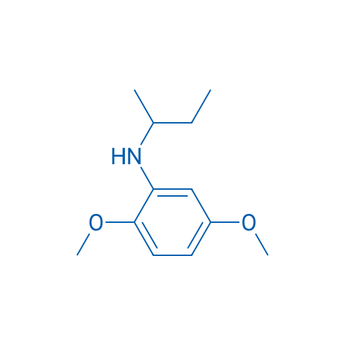 N-(Butan-2-yl)-2,5-dimethoxyaniline 1g