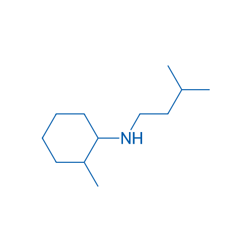 2-Methyl-N-(3-methylbutyl)cyclohexan-1-amine 250mg