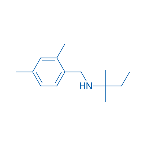 [(2,4-Dimethylphenyl)methyl](2-methylbutan-2-yl)amine 1g
