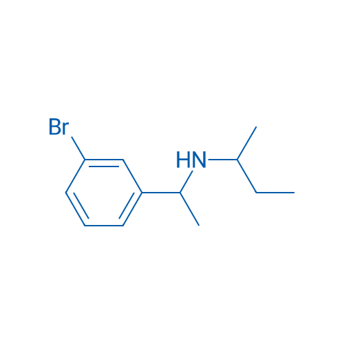 [1-(3-Bromophenyl)ethyl](butan-2-yl)amine 1g