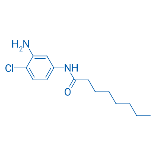 N-(3-Amino-4-chlorophenyl)octanamide 1g