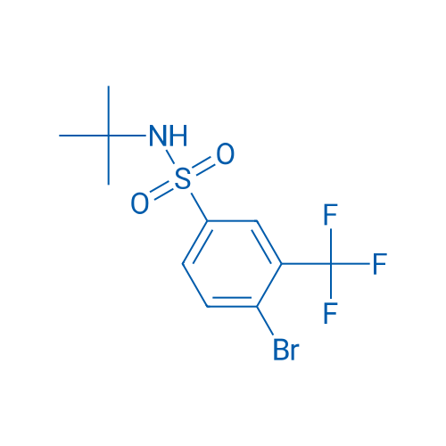 4-Bromo-N-(tert-butyl)-3-(trifluoromethyl)benzenesulfonamide 250mg