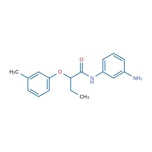 N-(3-Aminophenyl)-2-(m-tolyloxy)butanamide 1g