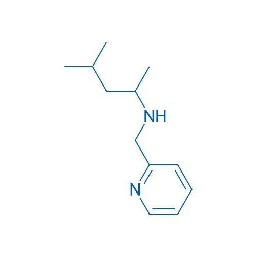 (4-Methylpentan-2-yl)(pyridin-2-ylmethyl)amine 100mg