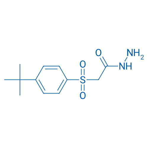 2-((4-(tert-Butyl)phenyl)sulfonyl)acetohydrazide 1mg