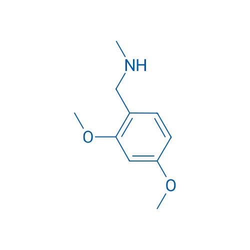 1-(2,4-Dimethoxyphenyl)-N-methylmethanamine 1g