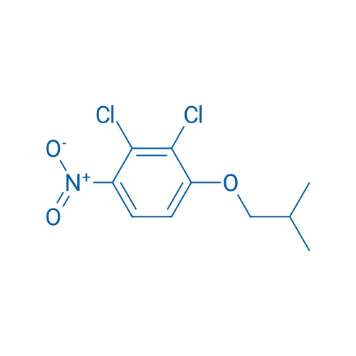2,3-DIchloro-4-nitro-1-isobutoxybenzene 5g