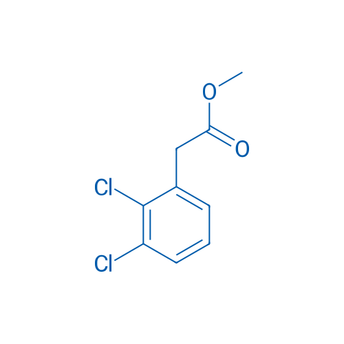 Methyl 2,3-Dichlorophenylacetate 100g