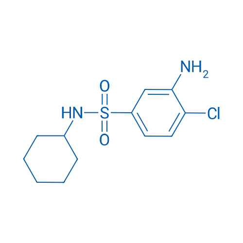 3-Amino-4-chloro-N-cyclohexylbenzenesulfonamide 1g