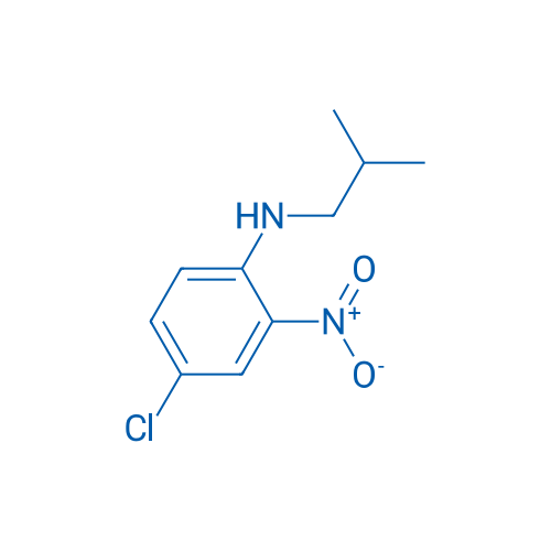 4-Chloro-N-(2-methylpropyl)-2-nitroaniline 1g