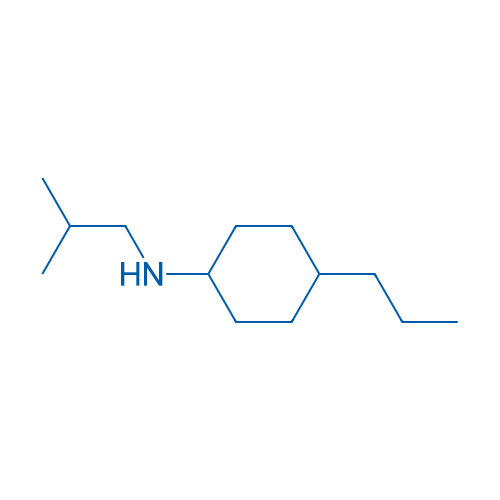 N-(2-Methylpropyl)-4-propylcyclohexan-1-amine 250mg