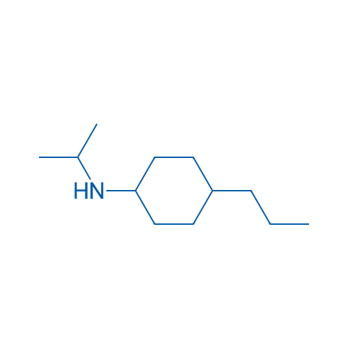 N-(Propan-2-yl)-4-propylcyclohexan-1-amine 10g