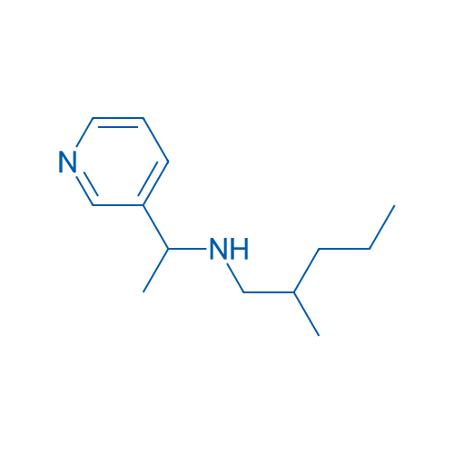 (2-Methylpentyl)[1-(pyridin-3-yl)ethyl]amine 10g