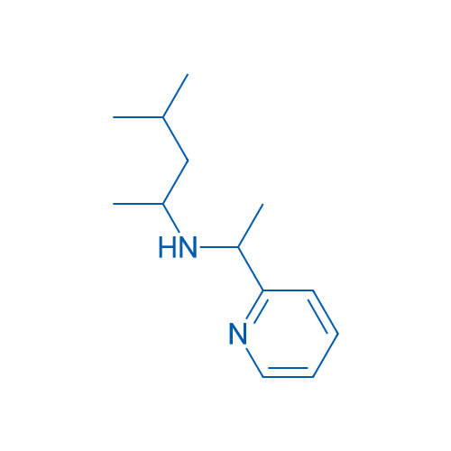 (4-Methylpentan-2-yl)[1-(pyridin-2-yl)ethyl]amine 250mg