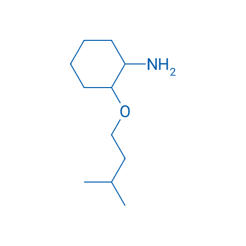 2-(3-Methylbutoxy)cyclohexan-1-amine 1g