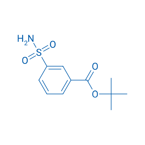 tert-Butyl 3-sulfamoylbenzoate 250mg