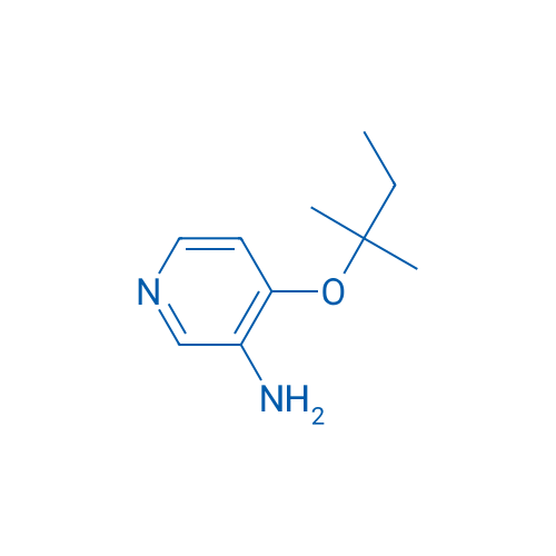 4-[(2-Methylbutan-2-yl)oxy]pyridin-3-amine 1g