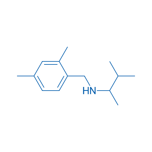 [(2,4-Dimethylphenyl)methyl](3-methylbutan-2-yl)amine 1g