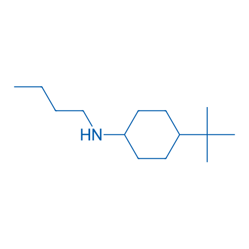 N-Butyl-4-tert-butylcyclohexan-1-amine 1g