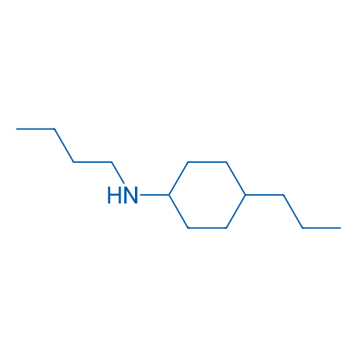 N-Butyl-4-propylcyclohexan-1-amine 1g