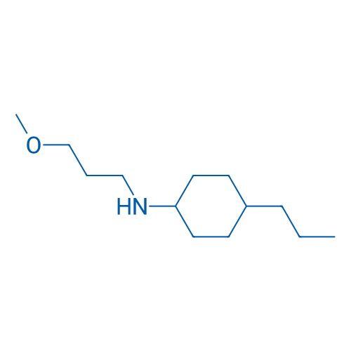N-(3-Methoxypropyl)-4-propylcyclohexan-1-amine 250mg
