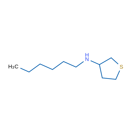 N-Hexylthiolan-3-amine 10g