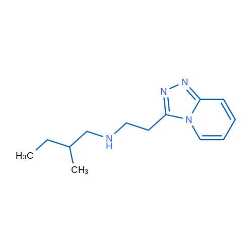 (2-Methylbutyl)(2-{[1,2,4]triazolo[4,3-a]pyridin-3-yl}ethyl)amine 1g