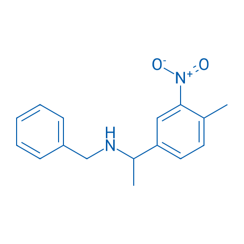 N-Benzyl-1-(4-methyl-3-nitrophenyl)ethanamine 1g