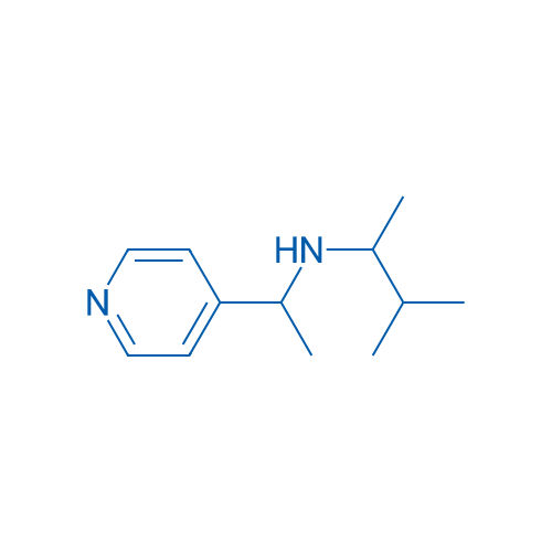 (3-Methylbutan-2-yl)[1-(pyridin-4-yl)ethyl]amine 1g