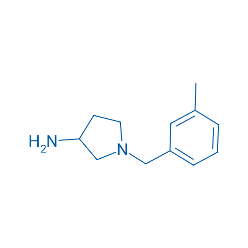 1-[(3-Methylphenyl)methyl]pyrrolidin-3-amine 1g