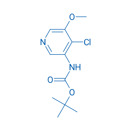 tert-Butyl (4-chloro-5-methoxypyridin-3-yl)carbamate 1g