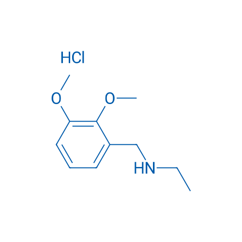 N-(2,3-Dimethoxybenzyl)ethanamine hydrochloride 1g