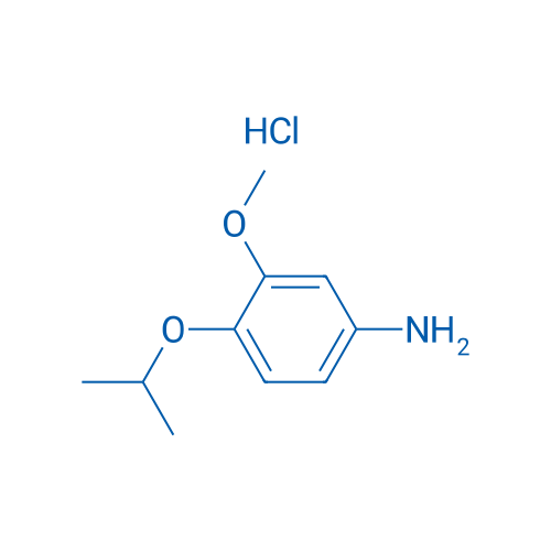 4-Isopropoxy-3-methoxyaniline hydrochloride 1g